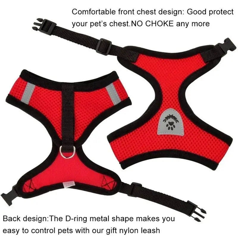 Red mesh dog harness with lead for cat dog harness and furry companion leash