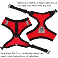 Red mesh dog harness with lead for cat dog harness and furry companion leash