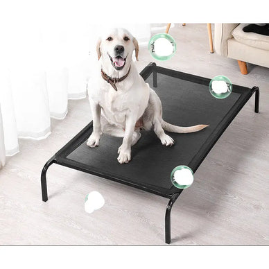 Transform Your Dog's Rest into Pure Bliss