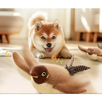 Smiling Shiba Inu with colorful cat moving bird toy for playful pet fun