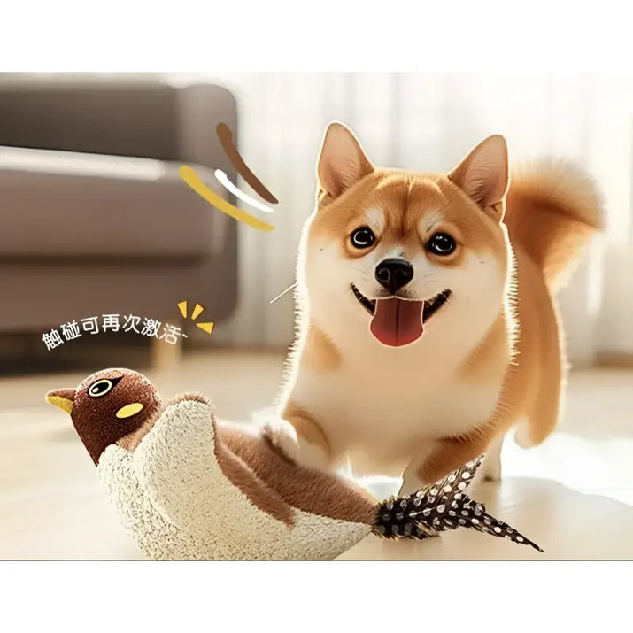 Happy Shiba Inu with playful cat moving bird toy for feline entertainment