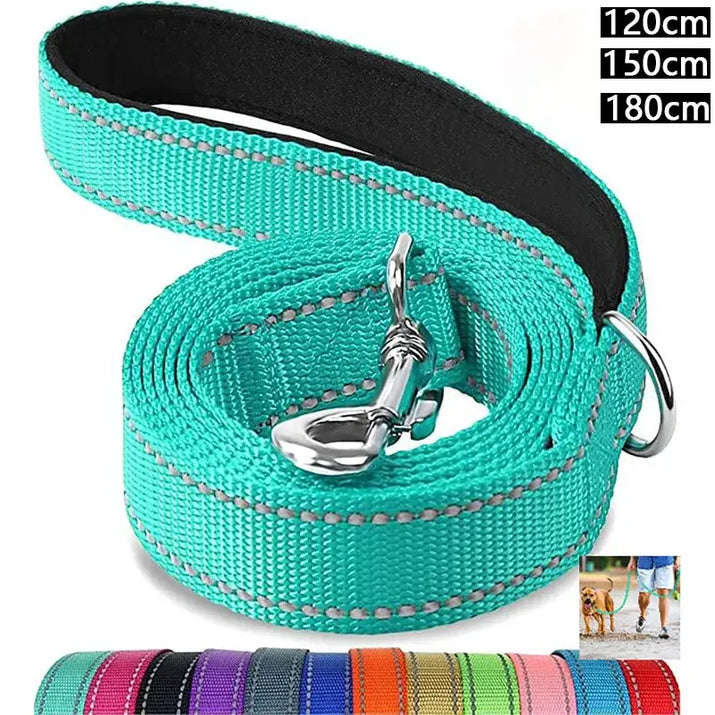 Turquoise dog leash with padded handle for cats dogs collar and dogs collar lead strap