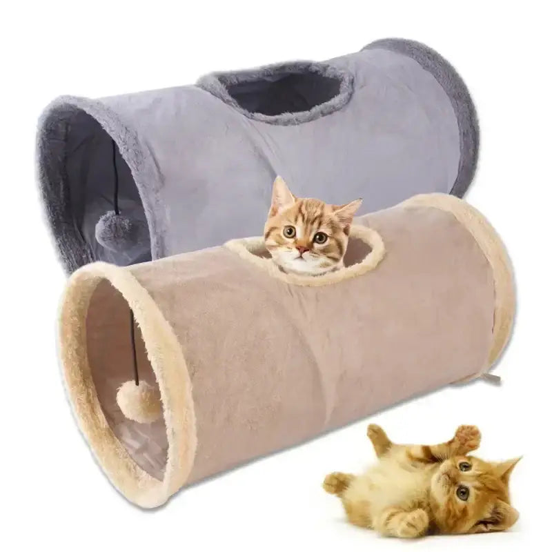Cat tunnels with playful kittens.