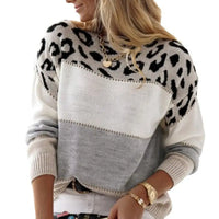 Leopard print color block sweater.