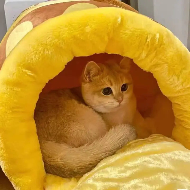 Orange cat in yellow plush mushroom bed.