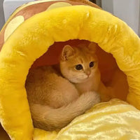 Orange cat in yellow plush mushroom bed.
