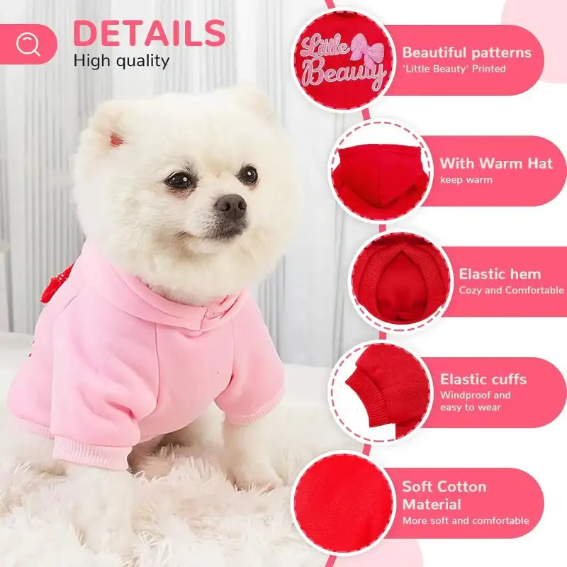 White dog wearing a pink hoodie.