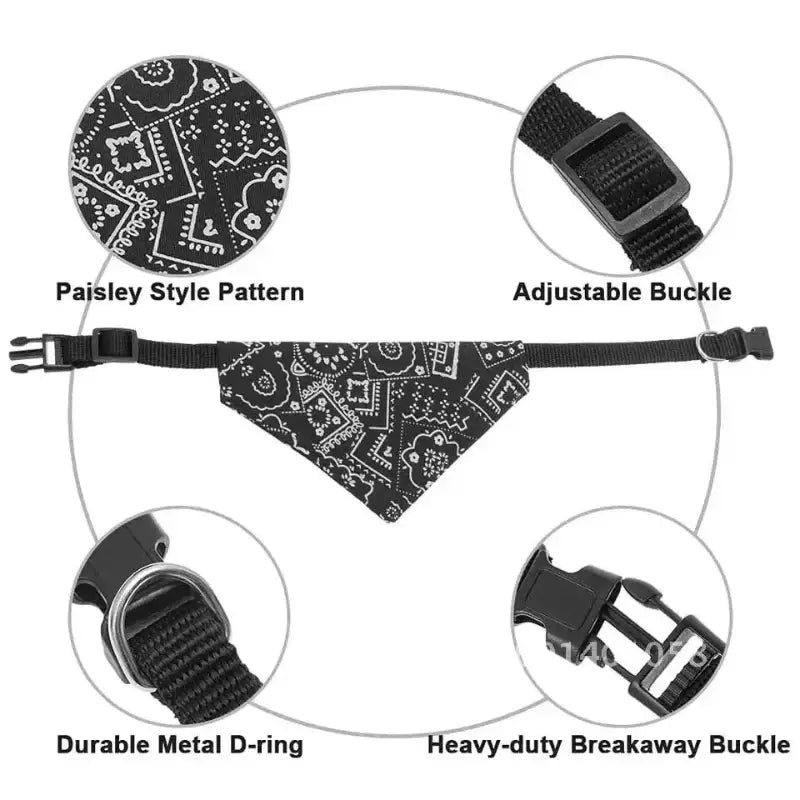 Black dog bandana collar.