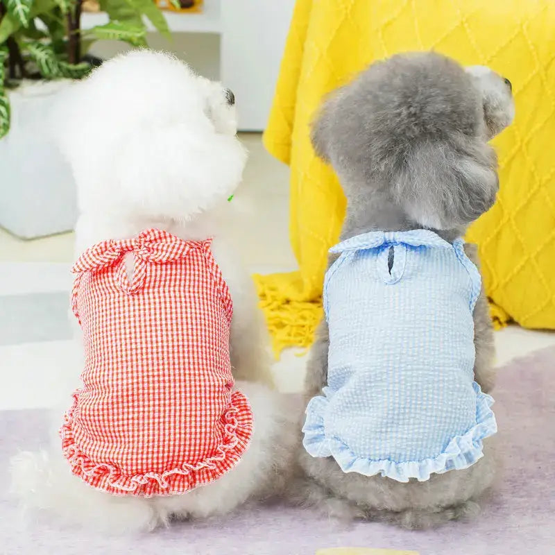 Two dogs wearing ruffled dresses.