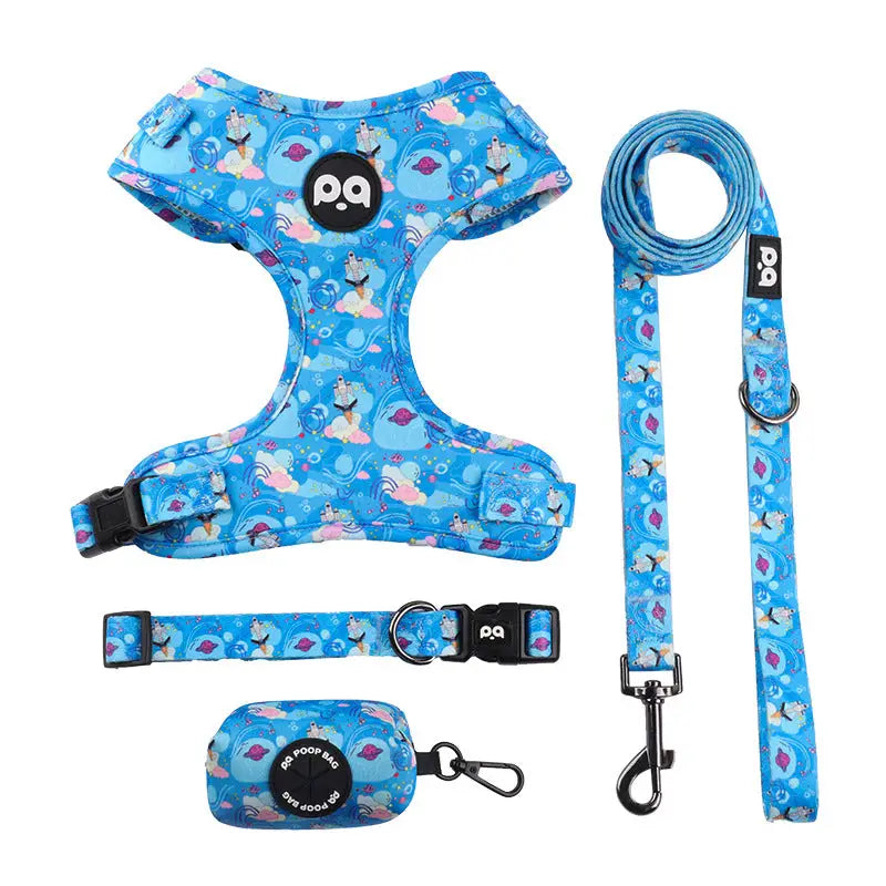 Blue dog walking set.