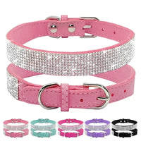 Pink rhinestone dog collar.