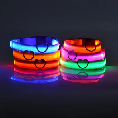 Illuminated pet collars.