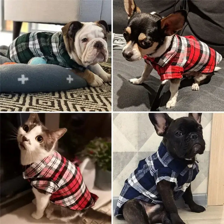 Collage of pets wearing stylish plaid pet clothes, including dog plaid shirts and more
