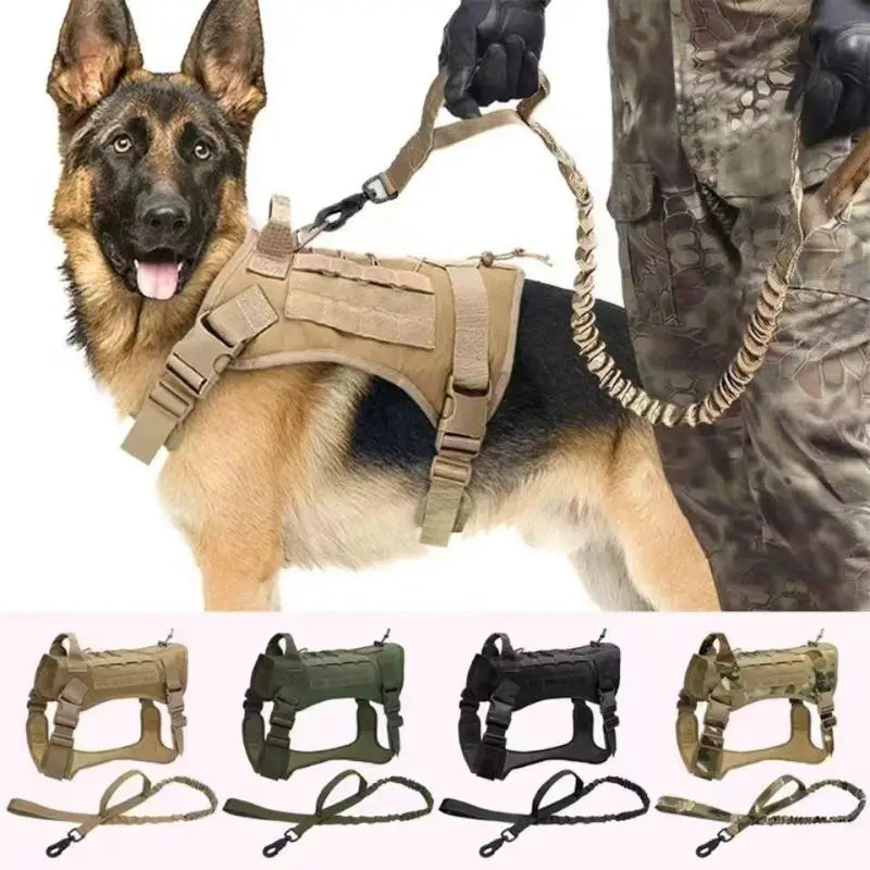 Dog Tactical Collar Training Set featuring a tactical dog harness with leash for effective collar training