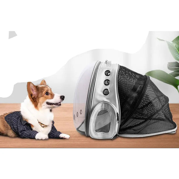 Clear pet carrier backpack with mesh extension from Dogs and Cats Pet Space Expandable Backpacks