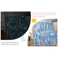 Dinosaur Coral Velvet Luminous Blanket