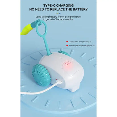 Intelligent Cat Teasing Mouse Toy