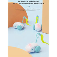 Intelligent Cat Teasing Mouse Toy