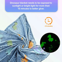 Dinosaur Coral Velvet Luminous Blanket