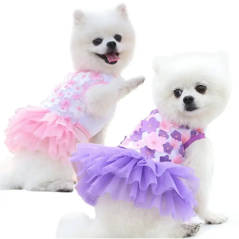 Two white dogs wearing floral dresses with tulle skirts.