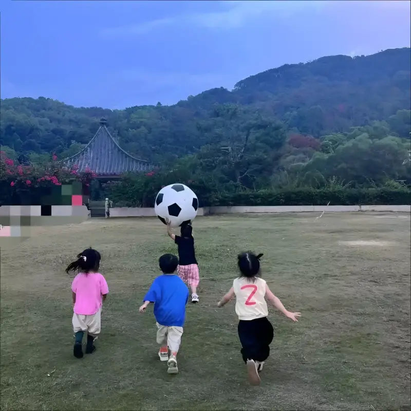 Children playing with a soccer ball.