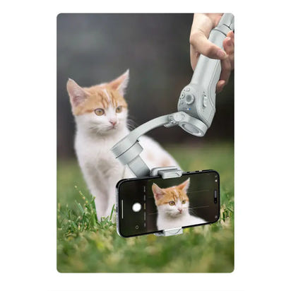 Smartphone gimbal capturing a cat.