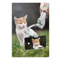Smartphone gimbal capturing a cat.