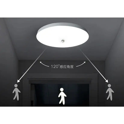 Ceiling-mounted motion sensor light.