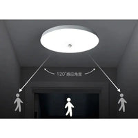 Ceiling-mounted motion sensor light.