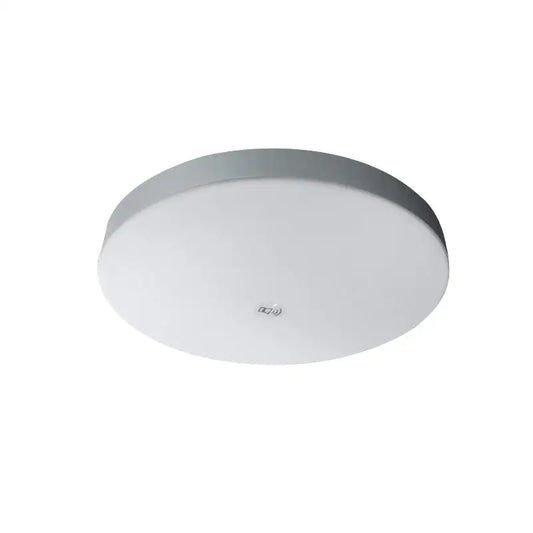 Round ceiling light.