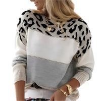 Leopard print color block sweater.