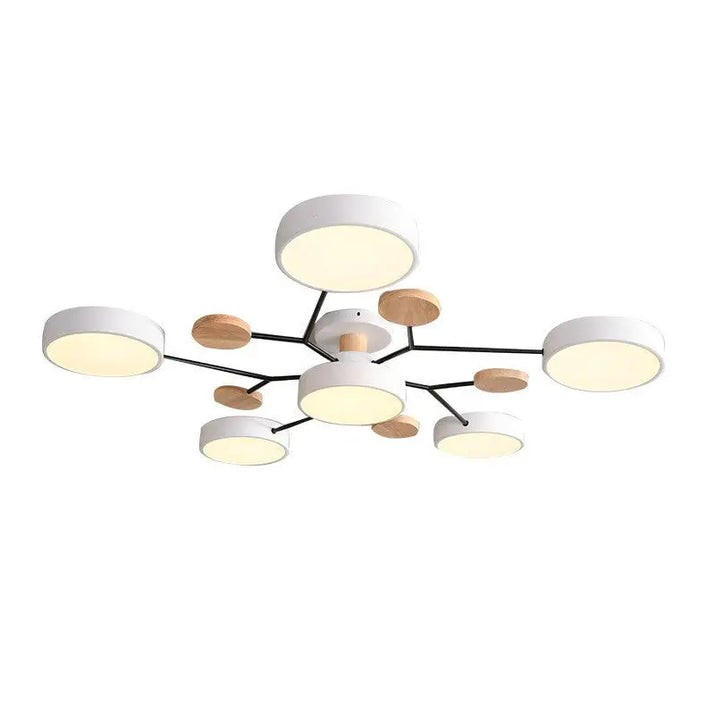 Modern white and wood ceiling light.