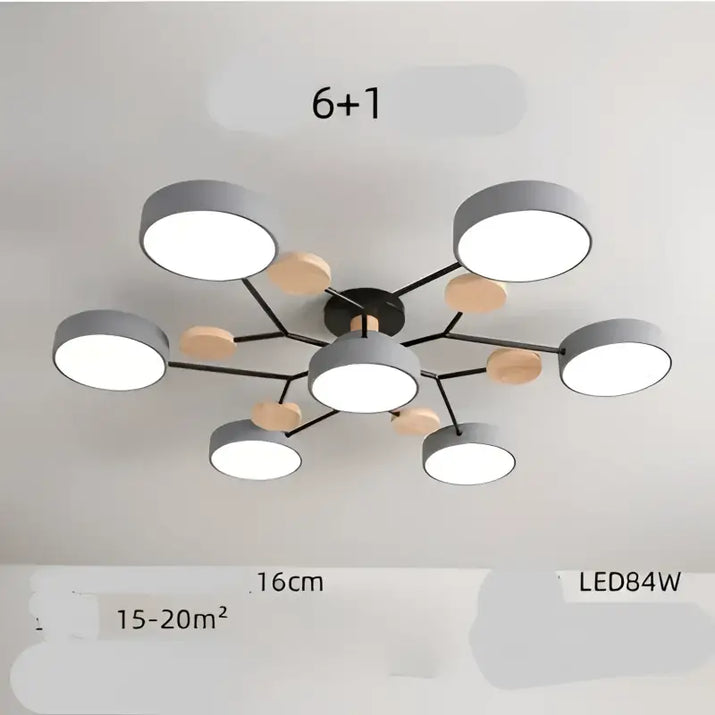 Modern gray and black ceiling light fixture.
