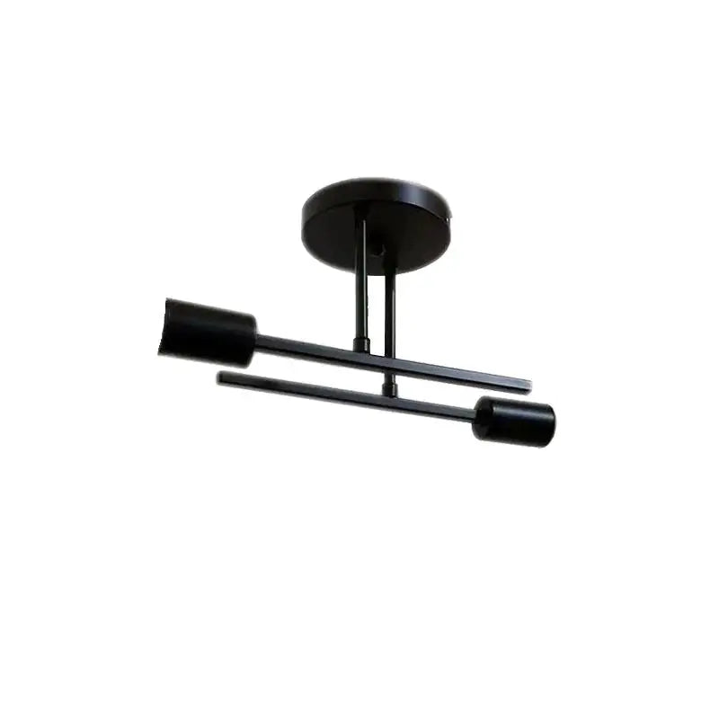 Black two-light ceiling fixture.
