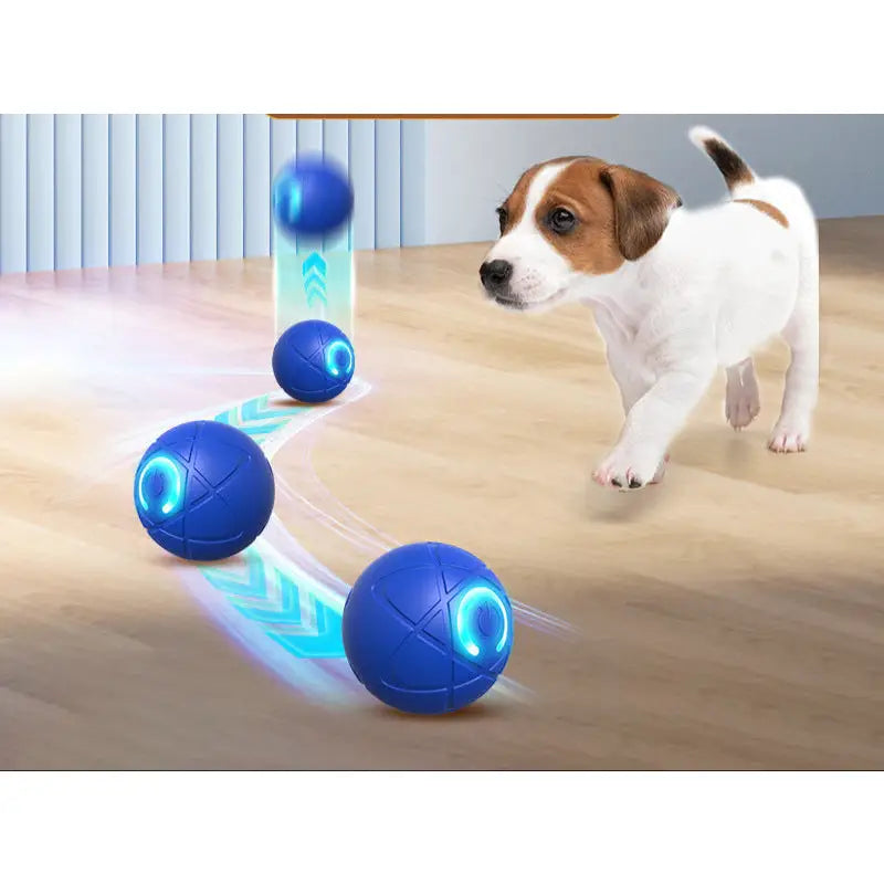 Jack Russell Terrier puppy playing with Pet Electric Gravitational Jumping Ball featuring electric charge