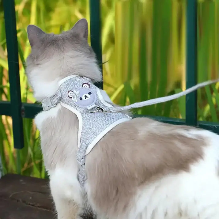 Cat wearing a gray bear design harness on an adjustable pet leash for cat dog harnesses