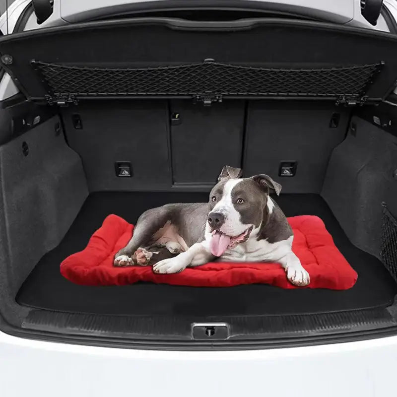 Dog resting on a pet outdoor portable waterproof mat for outdoor waterproof pet comfort