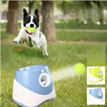 Automatic dog ball launcher for pet tennis and tennis pitching ball training with pitching ball machine