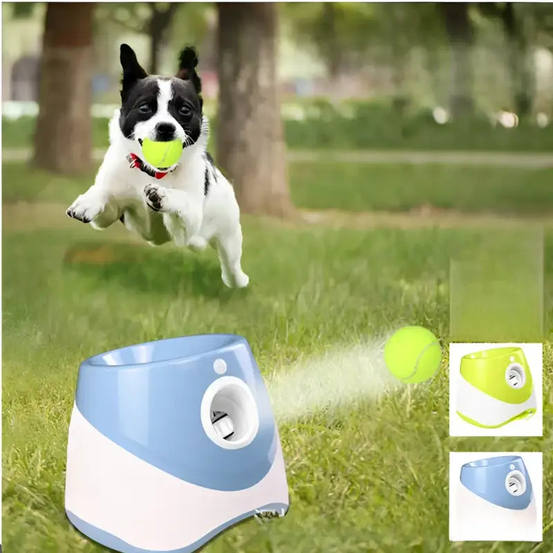 Automatic dog ball launcher for pet tennis and tennis pitching ball training with pitching ball machine