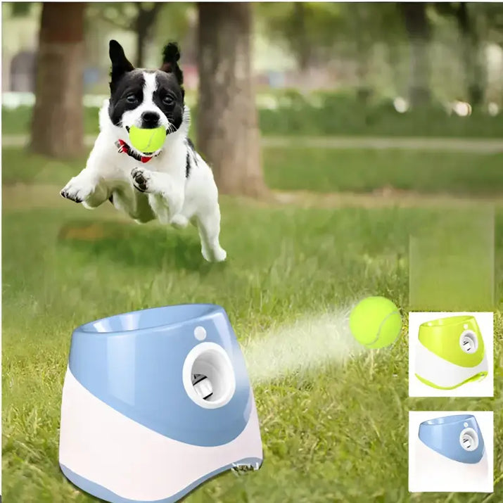 Automatic dog ball launcher for pet tennis and tennis pitching ball training with pitching ball machine
