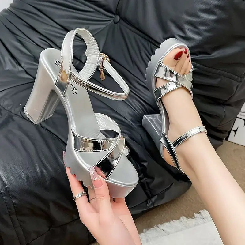 Platform Block High Heels Shoes - sleek-selections