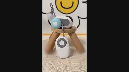 Intelligent Cat Teasing Mouse Toy