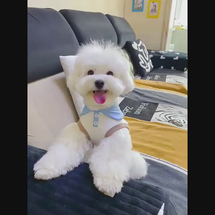 Summer Polo Shirt for Small Dogs Cat