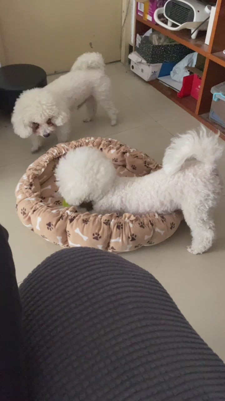 Creative Pet Cushion For Cats Puppies