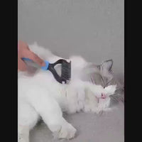 Professional Pet Deshedding Brush for Dogs