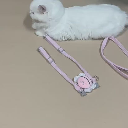 Bumble Bee Cat Harness Leash Collar Set