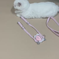 Bumble Bee Cat Harness Leash Collar Set