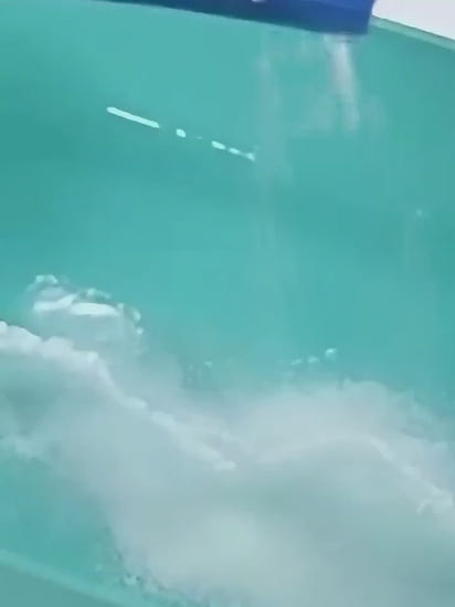 Elf Magic Water 3d Animals DIY Set