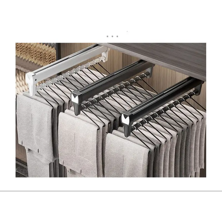 Pull-out closet organizer with hanging pants.