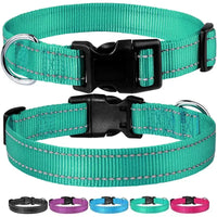 Reflective dog collar featuring two teal collars with black buckles for safety and style